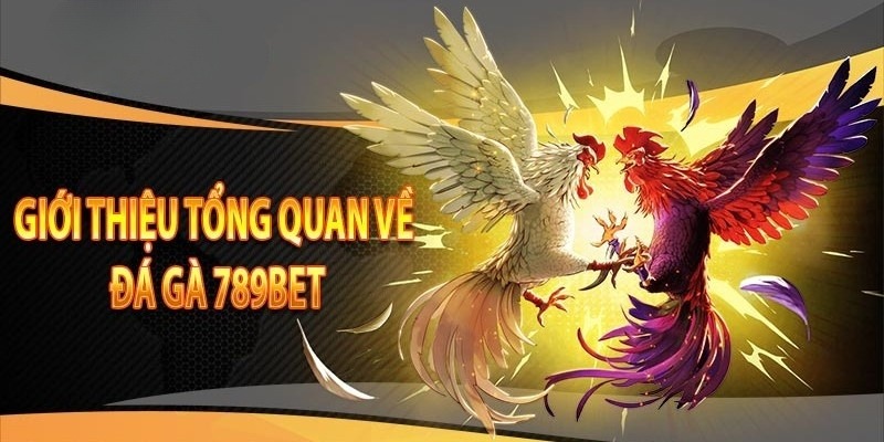 Đá gà 789Bet là danh mục cá cược nổi bật tại nhà cái